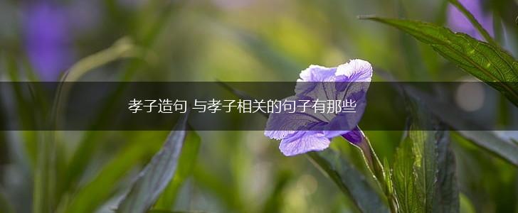 孝子造句 与孝子相关的句子有那些,第1张
