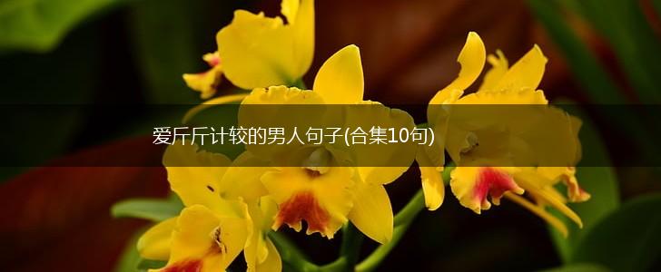 爱斤斤计较的男人句子(合集10句),第1张