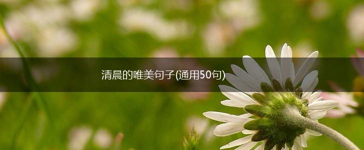 清晨的唯美句子(通用50句),第1张