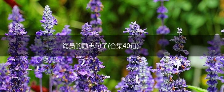 海员的励志句子(合集40句),第1张