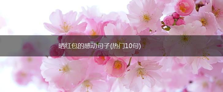 晒红包的感动句子(热门10句),第1张