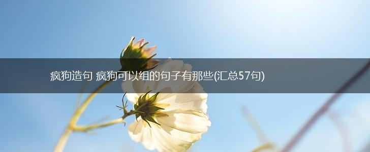 疯狗造句 疯狗可以组的句子有那些(汇总57句),第1张