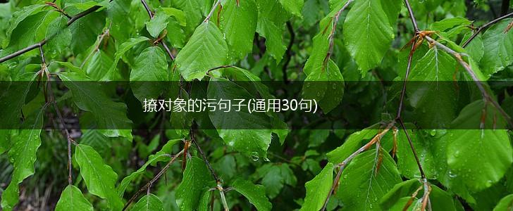 撩对象的污句子(通用30句),第1张