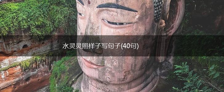 水灵灵照样子写句子(40句),第1张