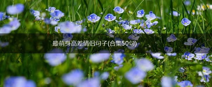 最萌身高差情侣句子(合集50句),第1张