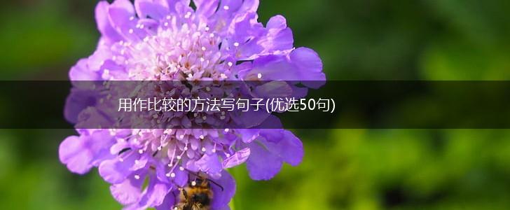 用作比较的方法写句子(优选50句),第1张