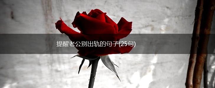 提醒老公别出轨的句子(25句),第1张