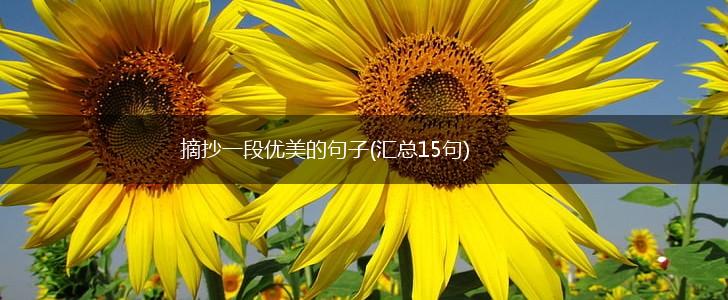 摘抄一段优美的句子(汇总15句),第1张