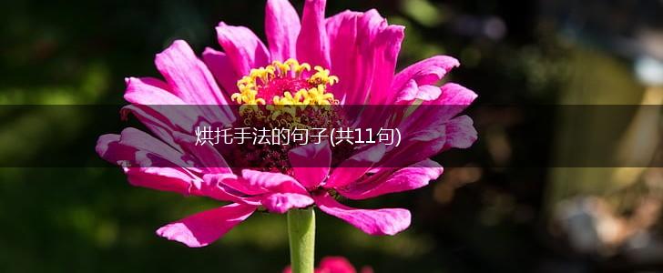 烘托手法的句子(共11句),第1张