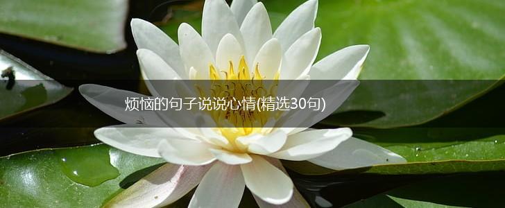 烦恼的句子说说心情(精选30句),第1张