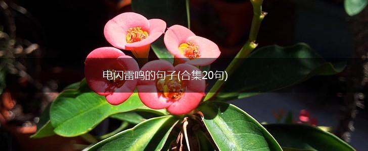 电闪雷鸣的句子(合集20句),第1张