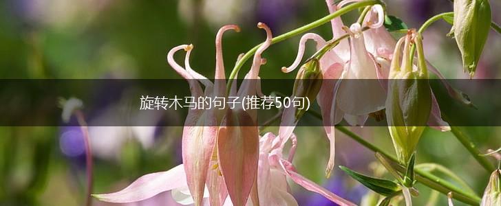 旋转木马的句子(推荐50句),第1张