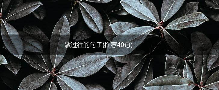 敬过往的句子(推荐40句),第1张
