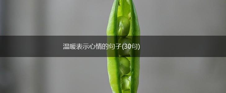 温暖表示心情的句子(30句),第1张