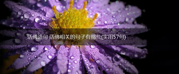 活佛造句 活佛相关的句子有那些(实用57句),第1张
