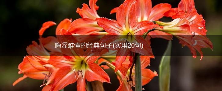 晦涩难懂的经典句子(实用20句),第1张
