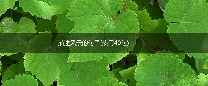 描述风景的句子(热门40句),第1张
