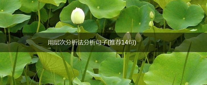 用层次分析法分析句子(推荐14句),第1张