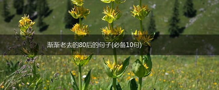渐渐老去的80后的句子(必备10句),第1张