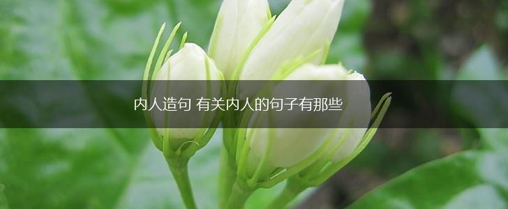 内人造句 有关内人的句子有那些,第1张