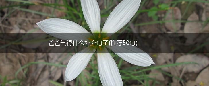 爸爸气得什么补充句子(推荐50句),第1张