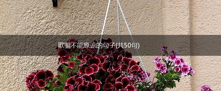 欺骗不能原谅的句子(共50句),第1张