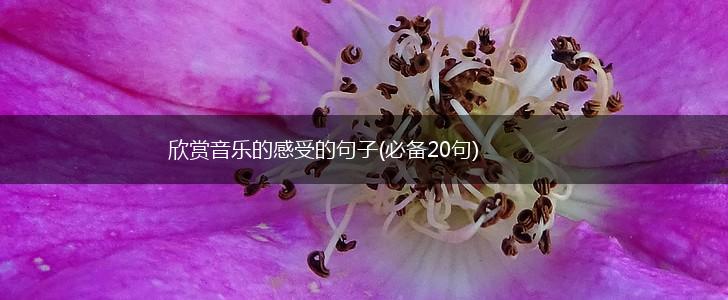 欣赏音乐的感受的句子(必备20句),第1张