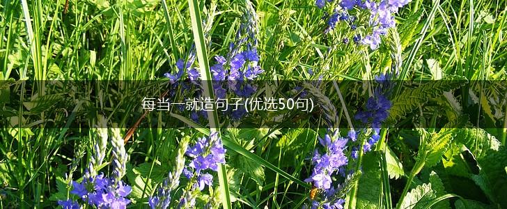 每当一就造句子(优选50句),第1张