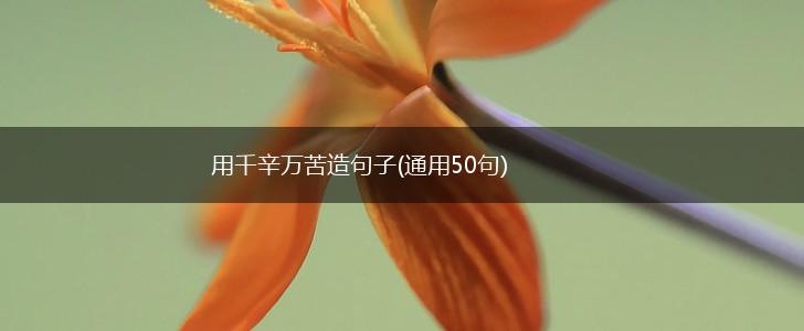 用千辛万苦造句子(通用50句),第1张