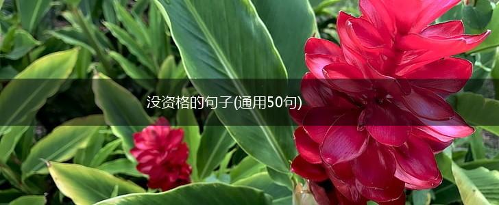 没资格的句子(通用50句),第1张