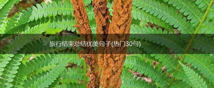 旅行结束总结优美句子(热门30句),第1张