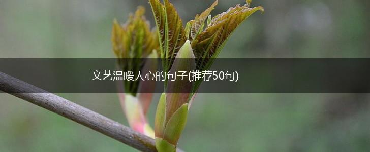 文艺温暖人心的句子(推荐50句),第1张