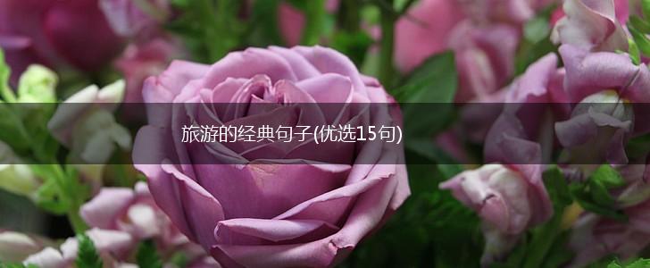旅游的经典句子(优选15句),第1张