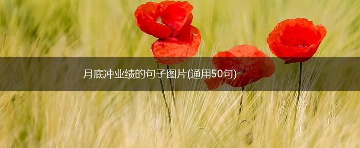 月底冲业绩的句子图片(通用50句),第1张