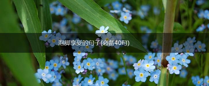 泡脚享受的句子(必备40句),第1张