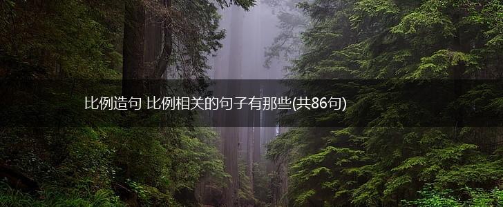比例造句 比例相关的句子有那些(共86句),第1张