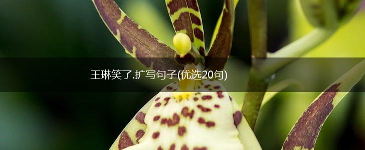 王琳笑了.扩写句子(优选20句),第1张