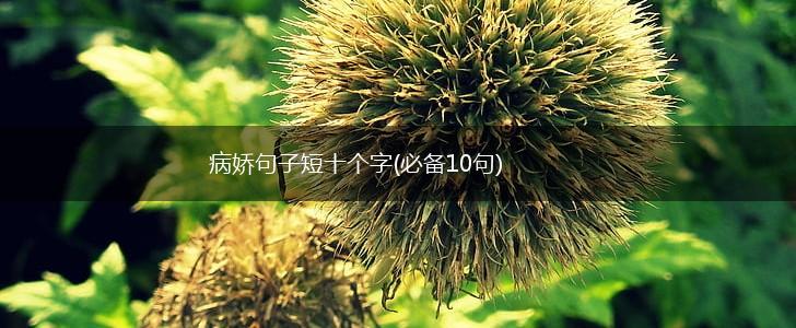 病娇句子短十个字(必备10句),第1张