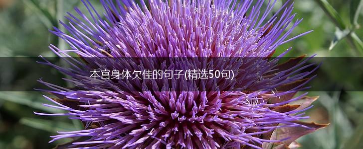 本宫身体欠佳的句子(精选50句),第1张