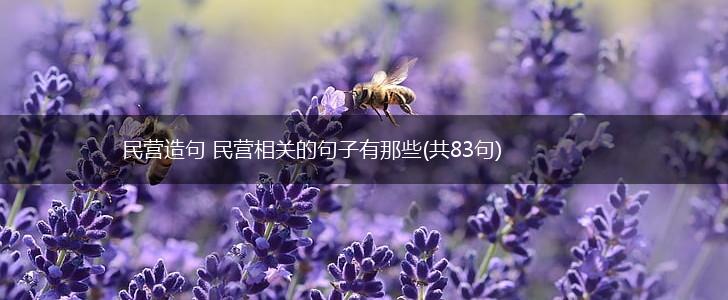 民营造句 民营相关的句子有那些(共83句),第1张