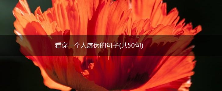 看穿一个人虚伪的句子(共50句),第1张
