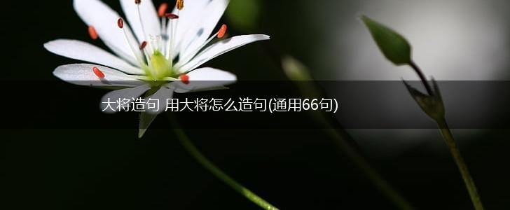 大将造句 用大将怎么造句(通用66句),第1张