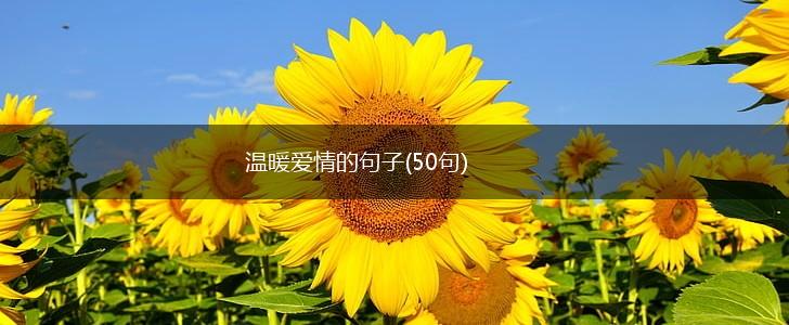 温暖爱情的句子(50句),第1张