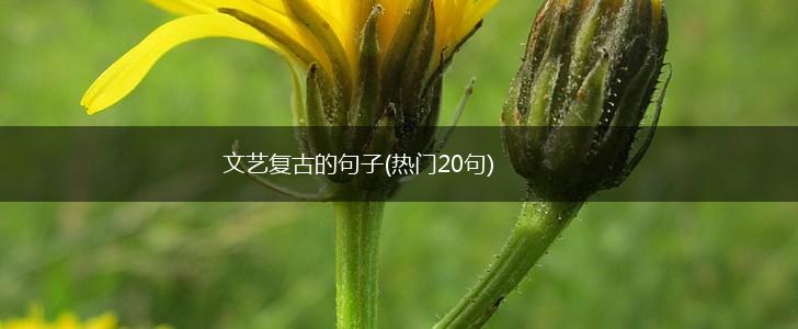 文艺复古的句子(热门20句),第1张