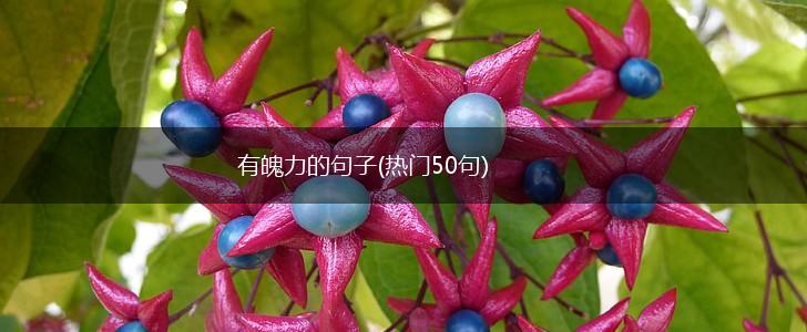有魄力的句子(热门50句),第1张