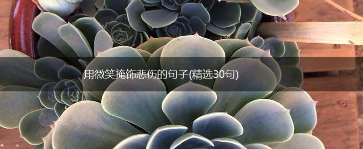 用微笑掩饰悲伤的句子(精选30句),第1张