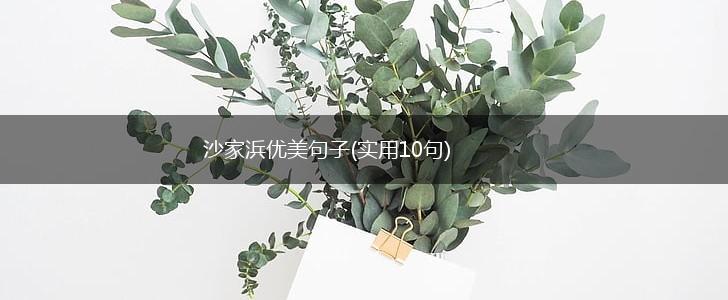 沙家浜优美句子(实用10句),第1张