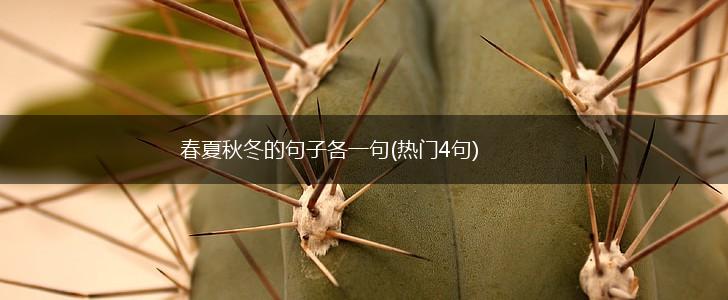 春夏秋冬的句子各一句(热门4句),第1张 春夏秋冬的句子各一句(热门4句),第1张