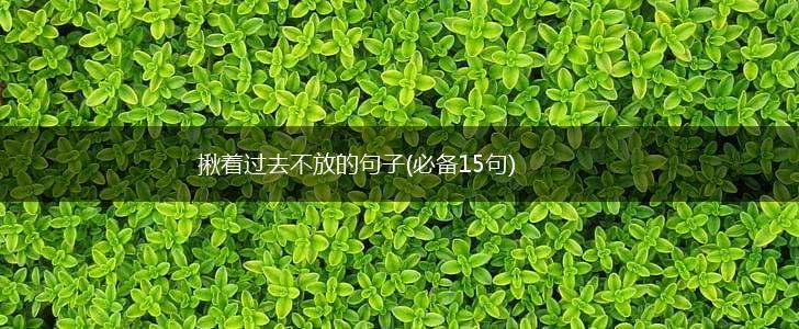揪着过去不放的句子(必备15句),第1张
