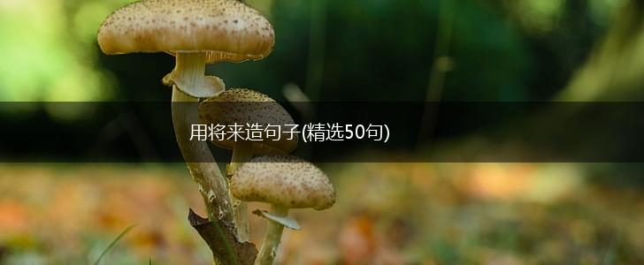 用将来造句子(精选50句),第1张